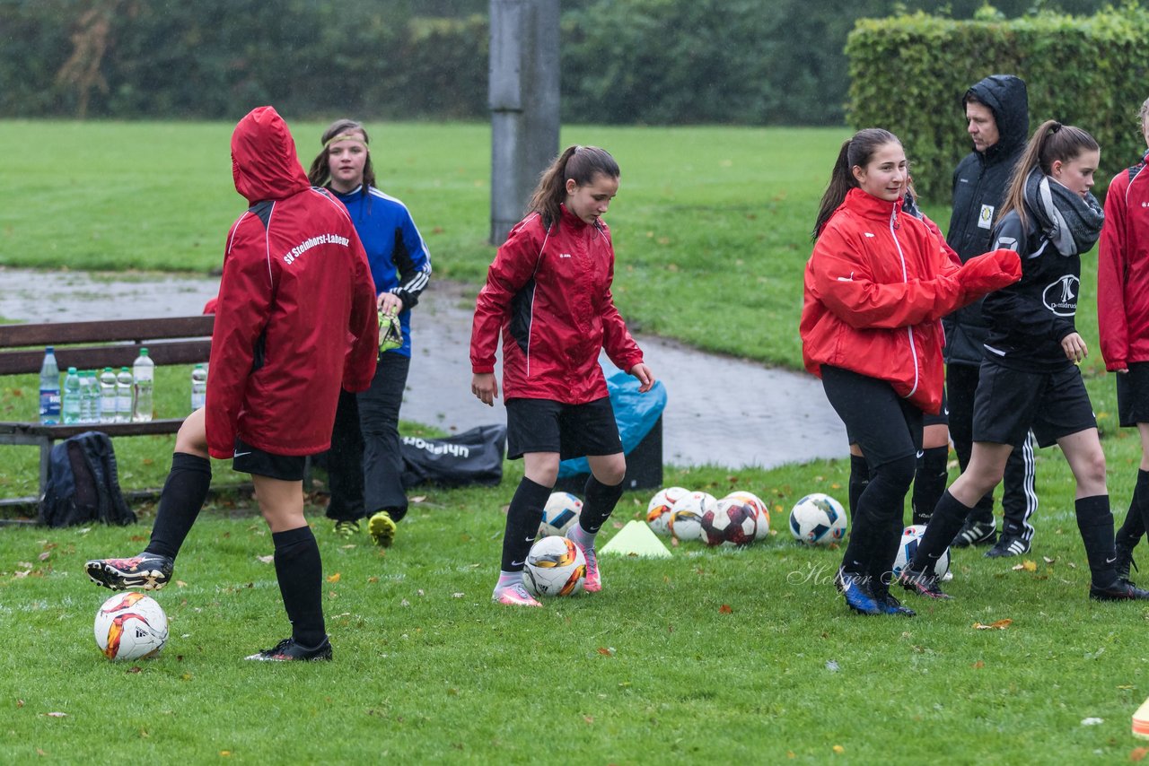 Bild 94 - B-Juniorinnen SV Henstedt Ulzburg - MSG Steinhorst Krummesse : Ergebnis: 4:0